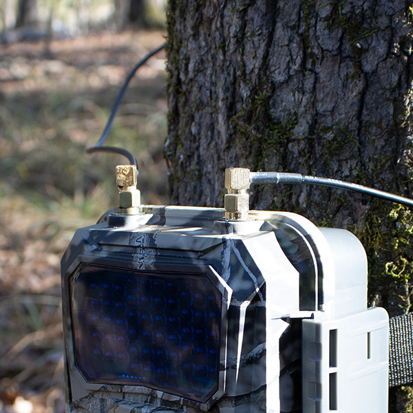 Antenna Extension Kit (3') - 2-Pack